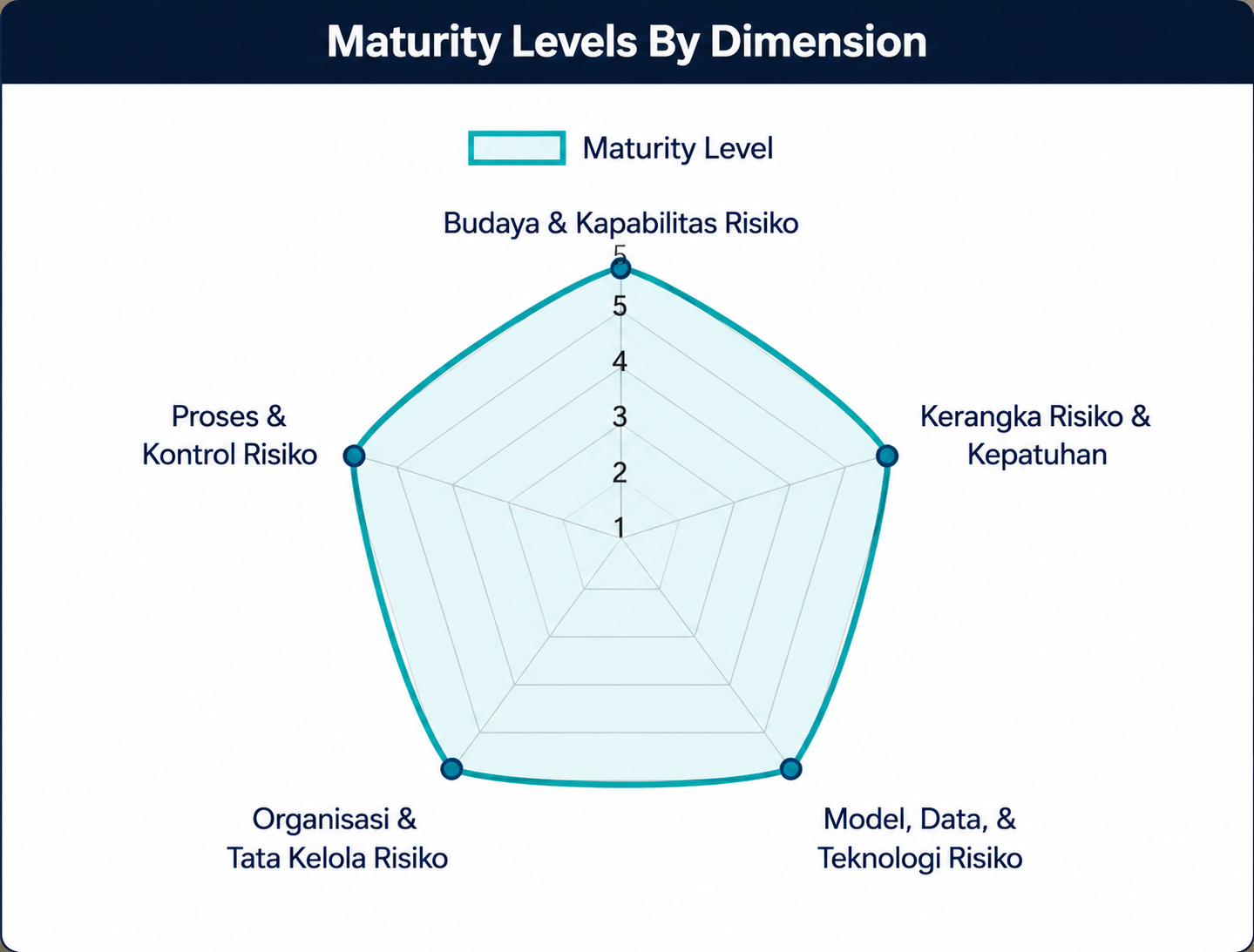 Maturity Levels by Dimension at Risk Maturity Index Dashboard